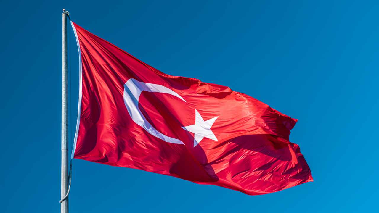 Balinaların Çokça Aldığı Altcoin, Türkiye Duyurusu Yaptı!
