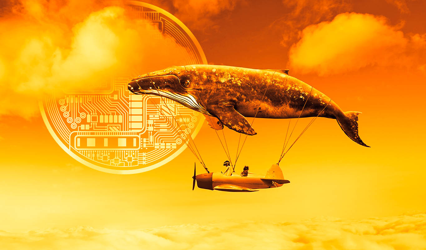 Balinanın Hareketi Şaşırttı! Bu Altcoin Sert Düştü