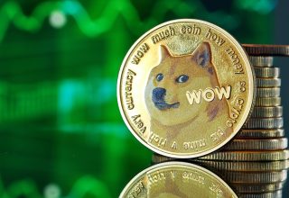 DOGE için Döngü Hedefi Açıklandı: Yeni Bir Zirve mi?